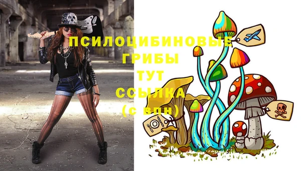 стаф Лихославль