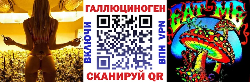 Купить где  Яблоновский  Галлюциногенные грибы ЛСД 