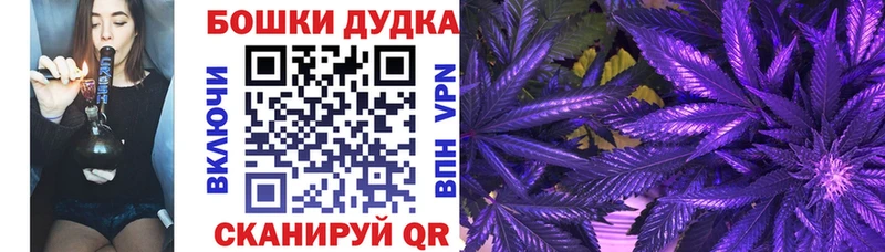 МАРИХУАНА планчик  Купить где  Яблоновский 